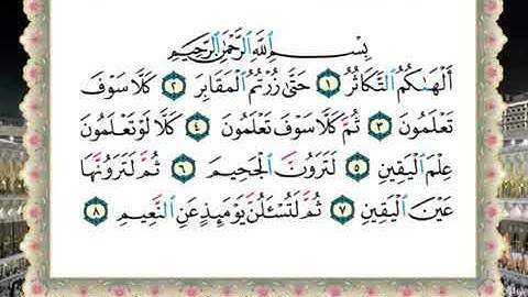 سورة التكاثر لفضيلة الشيخ سالم عبده سالم