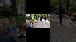 Famous A Man transforms into dog | intellicast 😱 #shorts #viral Wealth