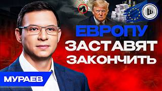⚡В ЭТОМ ГОДУ КОНЕЦ! И вот почему... Мураев. Цена на НЕФТЬ заставит Европу закончить войну