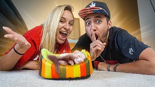 NOSSO NOVO ANIMAL DE ESTIMAÇÃO *muito fofo*