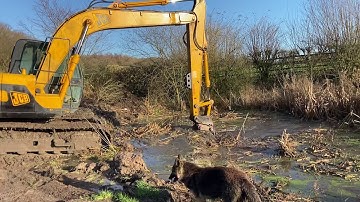 Late 90’s JCB JS130 Excavator Pond clearance