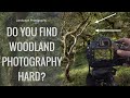 Do You Find Woodland Photography Hard? Try This!