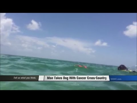 Man Takes Dog With Cancer Cross-Country