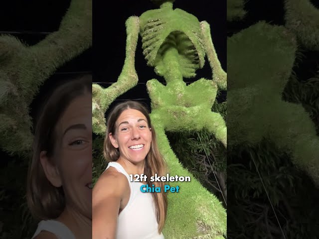 I Grew A GIANT CHIA SKELETON