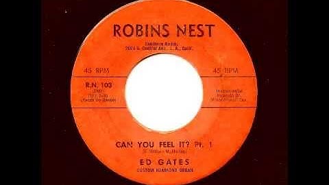 ED GATES - Can You Feel It? Part 1 - ROBINS NEST