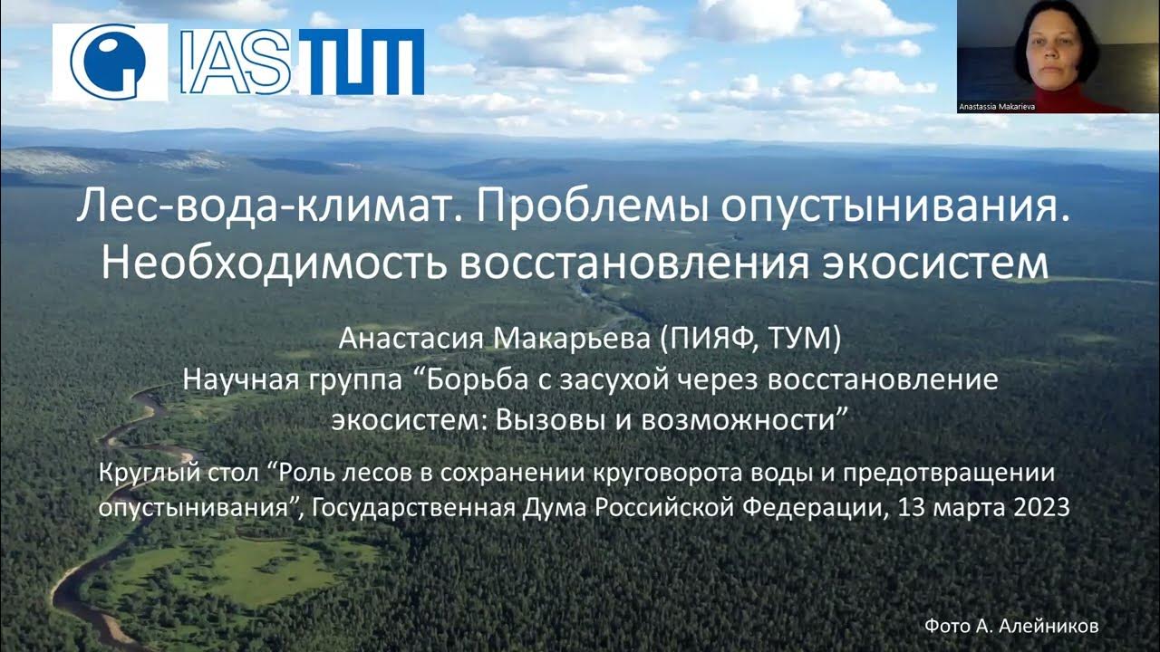Климатические проблемы россии. Экосистема подводных лесов. Роль климат в экосистеме.