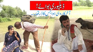 Delivery Boy || Numberdaar \/Helmet\/Rocket || New Top Funny |   Punjabi Comedy Video 2023 | Chal TV