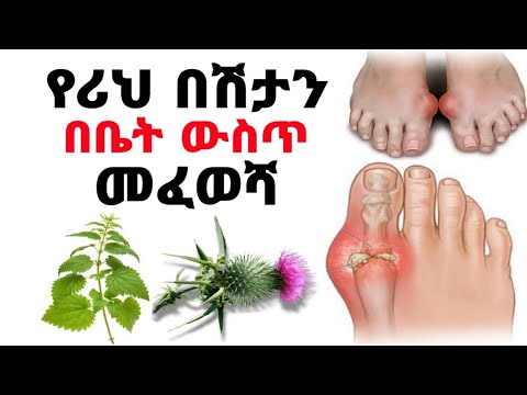 ቪዲዮ: የሪ አዝመራ መመሪያ - እንዴት የአራይ እህል ሰብሎችን መሰብሰብ እንደሚቻል ይወቁ