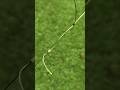 Double uni knot braid to fluorocarbon #shorts #fishing