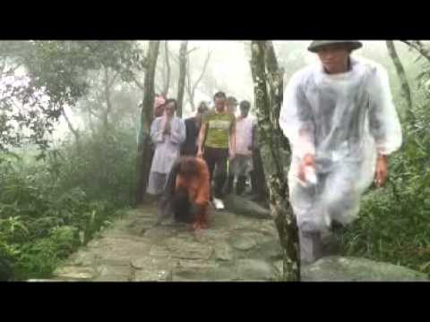Video Hành trình
