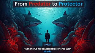 Our Complicated Relationship With Sharks Tanked Ind Tankedind