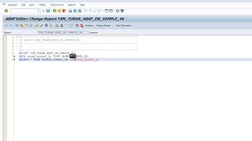 SAP ABAP Database Sample, Creating DB, Domain, Data type DB-2