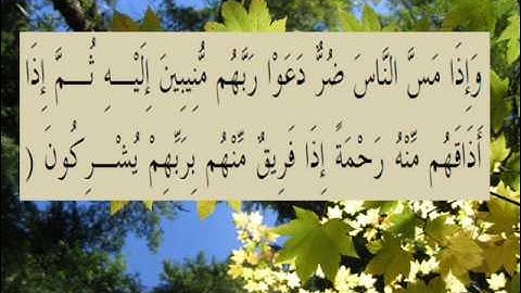 القران الكريم سورة الروم الأية 33.wmv