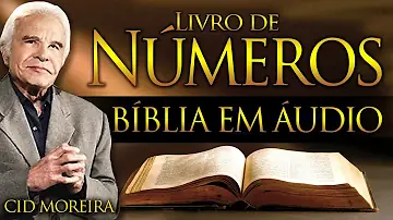 Como ler os capítulos da Bíblia?