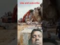 Accident# JCB accident# the mountain collapsed#