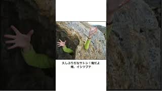 【神回】感情込めてボケてにアフレコしたらヤバすぎたwwww【第2540弾】#shorts