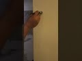 Mira como queda esta igualación de color #colores #igualación #sayer #viral #reparaciones #diy