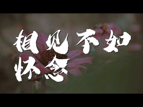 相見不如懷念 - 那英『相見不如懷念 就算你不瞭解』【動態歌詞Lyrics】