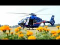 Ai বিড়িও খেলা #binodontv #flowers #highlights.