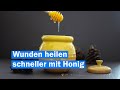 Honig beschleunigt die Wundheilung | antibakterielle Wirkung | Studien | Manukahonig