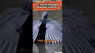 5 Fakta menarik burung KUNTUL #shorts #burung #satwaliar #hewan #binatang #faktamenarik