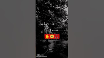 قف ✋ استمع القران الكريم