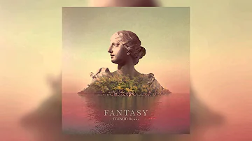 Alina Baraz & Galimatias - Fantasy (TEEMID Remix) [Cover Art]