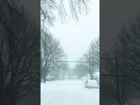 Video: Quebec City på vintern: Väder- och evenemangsguide