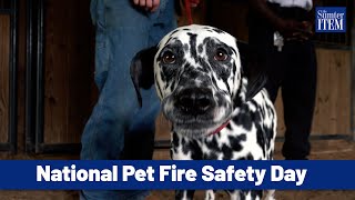 Sumter Today: National Pet Fire Safety Day