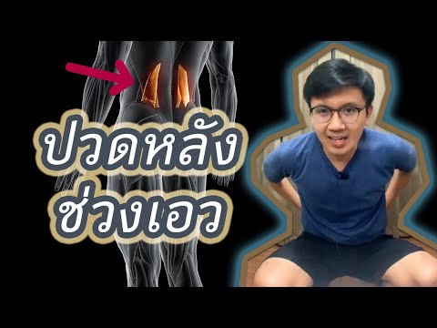 ปวดหลังช่วงเอว Quadratus Lumborum Pain-หมอนัท Live