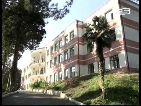 „თავისუფალი დემოკრატები“  აჭარის უმაღლეს საბჭოში ახალი ფრაქციის შექმნას გეგმავენ