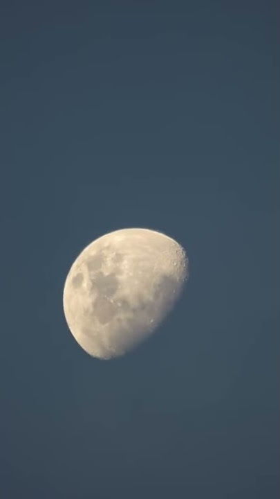 Story WA | Polosan Fly Me To The Moon