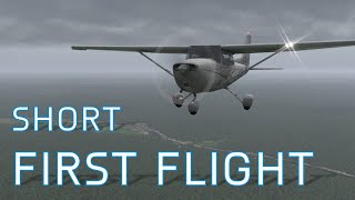 X11 First Short Flight | Cessna Skyhawk | +My Progress