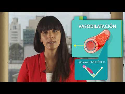 Vídeo: Determinantes Del Comportamiento De Búsqueda De Salud Para Enfermedades Crónicas No Transmisibles Y Gastos De Bolsillo Relacionados: Resultados De Una Encuesta Transversal En El No