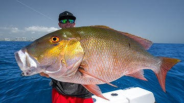 SECRETS Revealed to catch GIANT snapper! Catch Clean Cook