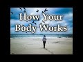 All About Body Detox, Toxicity & Natural Diet, Tips & Information