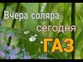 Накрылся котел//Крольчиха рожает//Пересадки в саду.