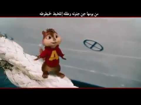 العنكبوت النونو قناه كوكي