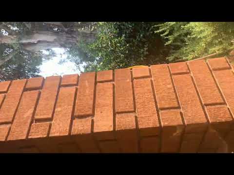 View YouTube Video of this Auction Car