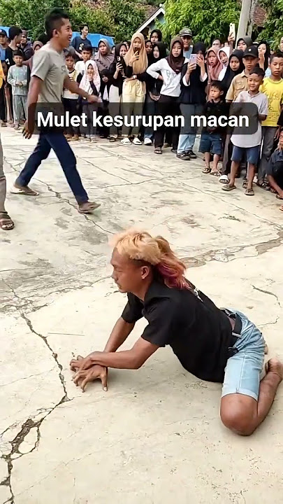 artis mulet jaranan kembali kesurupan #lulusdiwaktuyangtepat