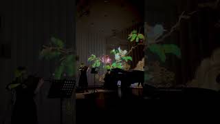 #violin #classicalmusic #music #piano #violinmusic #liveperformance #concert #art #performance