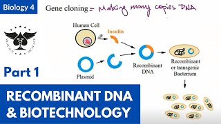 Recombinant DNA and Biotechnology | Biology 4 | Part 1