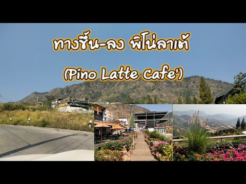 ทางขึ้น-ลง พิโน่ลาเต้ (Pino Latte Cafe') ร้านกาแฟยอดฮิตที่เขาค้อ และวัดพระธาตุผาซ่อนแก้ว