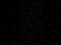 Particle Life Simulation - 2025-10-31