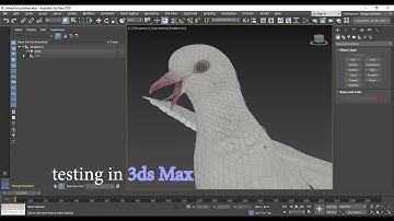 Realistic Animated White Dove Low-Poly 3d Model