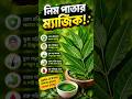 নিম পাতার এই টিপস না জানলে বড় মিস করবি! 😡🌿#নিমপাতা