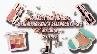 Project pan 10/2024. Использовать и выбросить за 3 месяца. 2 отчёт.