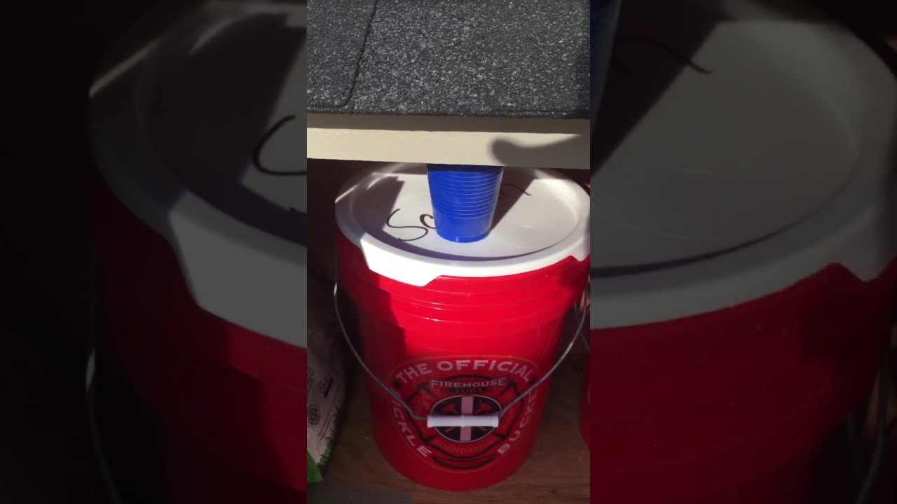 DIY Chicken Coop and Run YouTube