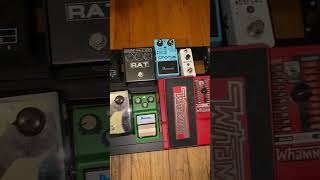 Guitar pedal board with voodoo lab #rock #pedalboard #guitarpedalboard #guitarpedals #visualkei