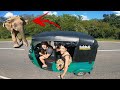 WILD ELEPHANT in Sri Lanka Tuk Tuk Travel Vlog